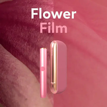 IQOS ILUMA Flower Film in Dubai Abu Dhabi UAE at AED 504